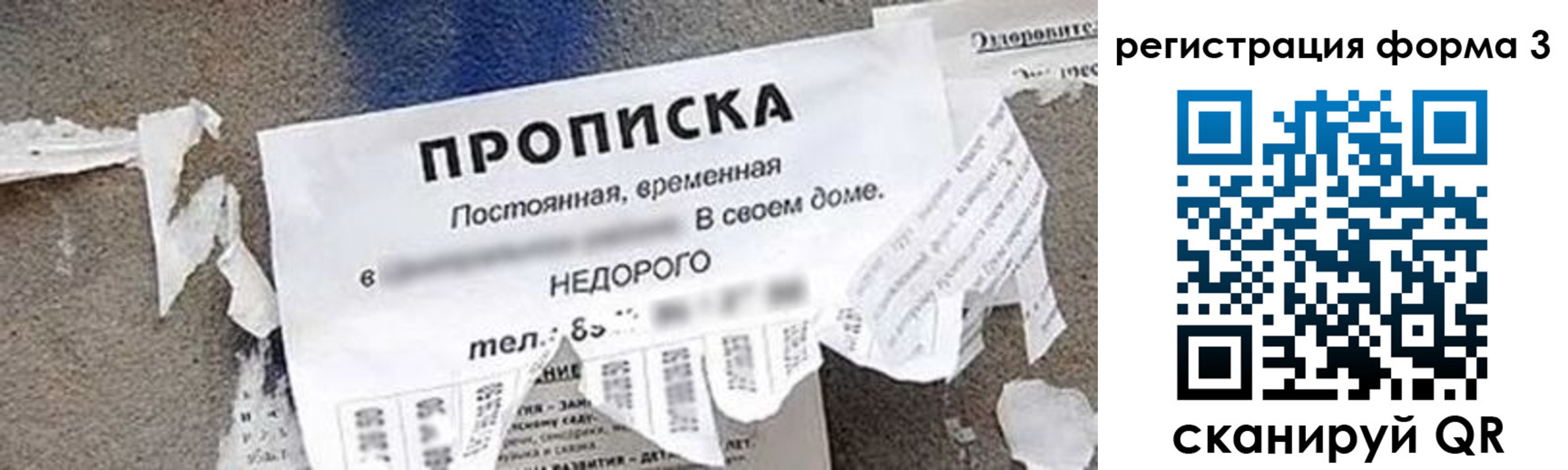 прописка 2025 в Заволжье